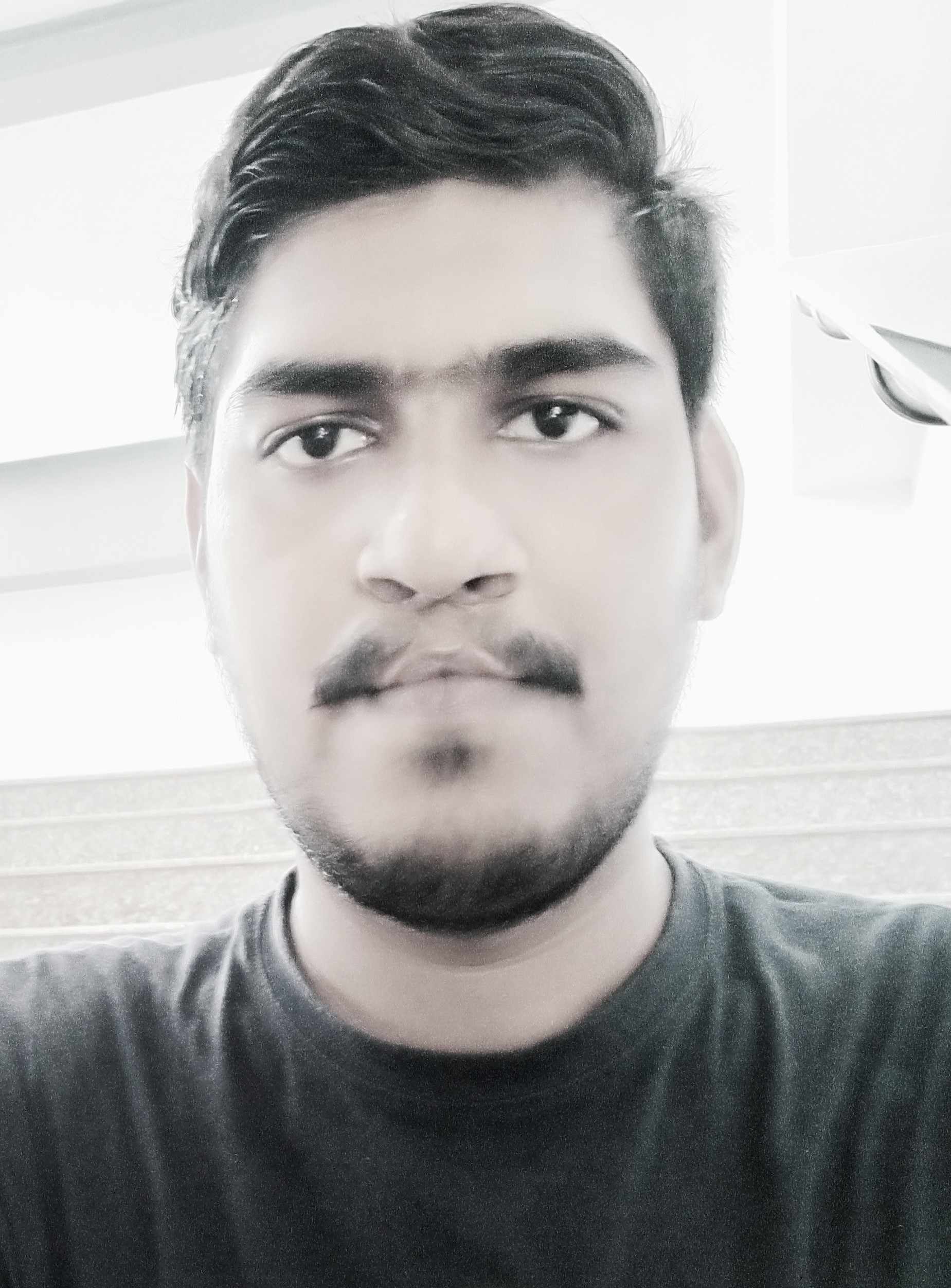nozib